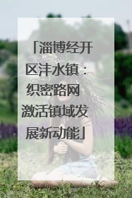 淄博经开区沣水镇：织密路网 激活镇域发展新动能