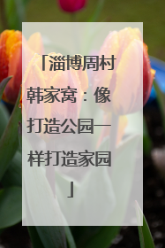 淄博周村韩家窝：像打造公园一样打造家园