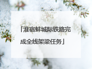 淮宿蚌城际铁路完成全线架梁任务