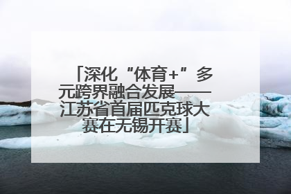 深化“体育+”多元跨界融合发展——江苏省首届匹克球大赛在无锡开赛