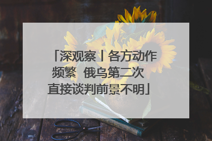 深观察丨各方动作频繁  俄乌第二次直接谈判前景不明