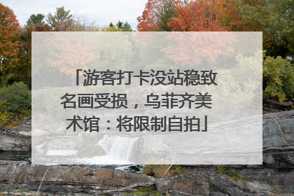 游客打卡没站稳致名画受损，乌菲齐美术馆：将限制自拍