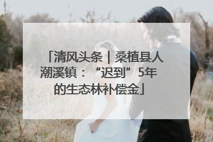 清风头条｜桑植县人潮溪镇：“迟到”5年的生态林补偿金