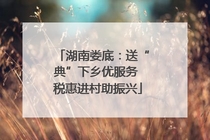 湖南娄底：送“典”下乡优服务 税惠进村助振兴