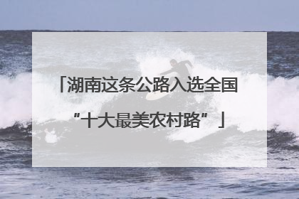 湖南这条公路入选全国“十大最美农村路”