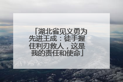 湖北省见义勇为先进王成：徒手握住利刃救人，这是我的责任和使命