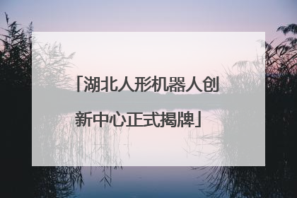 湖北人形机器人创新中心正式揭牌