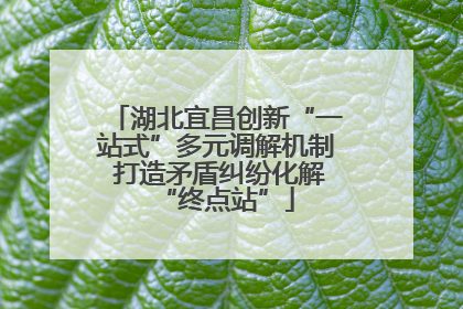 湖北宜昌创新“一站式”多元调解机制 打造矛盾纠纷化解“终点站”