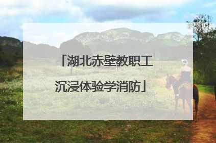 湖北赤壁教职工沉浸体验学消防