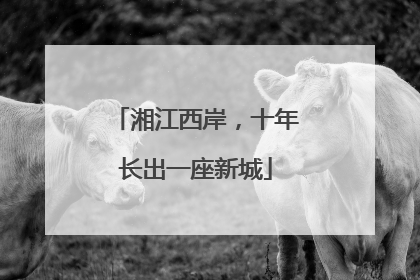 湘江西岸，十年长出一座新城