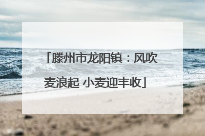 滕州市龙阳镇：风吹麦浪起 小麦迎丰收