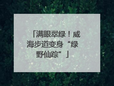 满眼翠绿！威海步道变身“绿野仙踪”