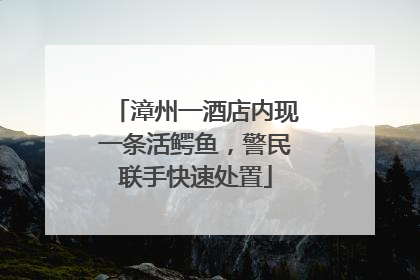 漳州一酒店内现一条活鳄鱼，警民联手快速处置