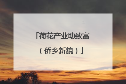 荷花产业助致富（侨乡新貌）