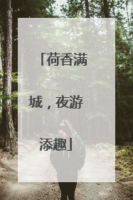 荷香满城，夜游添趣