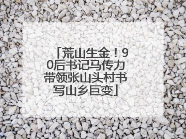 荒山生金！90后书记马传力带领张山头村书写山乡巨变