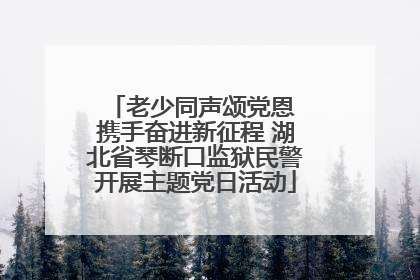 老少同声颂党恩 携手奋进新征程 湖北省琴断口监狱民警开展主题党日活动