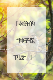 老许的“种子保卫战”