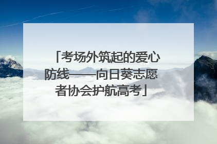考场外筑起的爱心防线——向日葵志愿者协会护航高考
