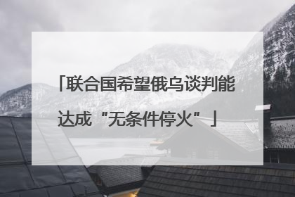 联合国希望俄乌谈判能达成“无条件停火”