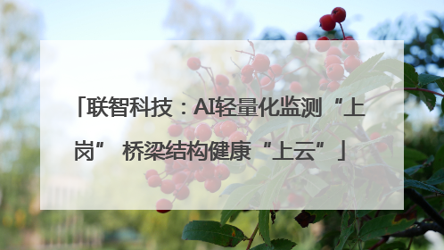 联智科技：AI轻量化监测“上岗” 桥梁结构健康“上云”