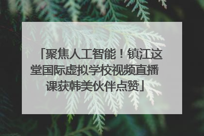 聚焦人工智能！镇江这堂国际虚拟学校视频直播课获韩美伙伴点赞