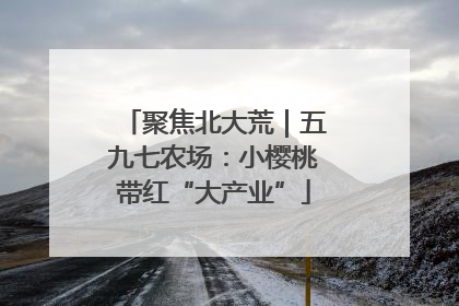 聚焦北大荒｜五九七农场：小樱桃带红“大产业”
