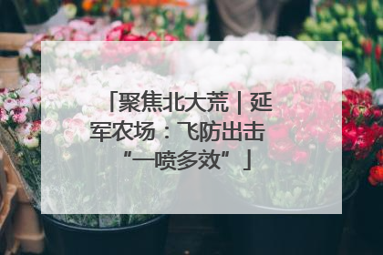 聚焦北大荒｜延军农场：飞防出击 “一喷多效”