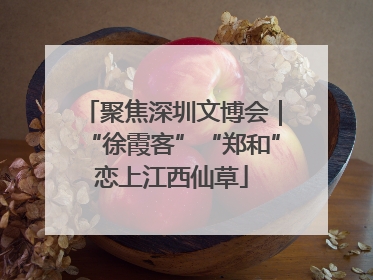 聚焦深圳文博会｜“徐霞客”“郑和”恋上江西仙草