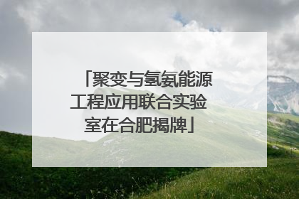 聚变与氢氨能源工程应用联合实验室在合肥揭牌