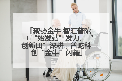 聚势金牛 智汇普陀〡“始发站”发力、“创新田”深耕，普陀科创“金牛”闪耀