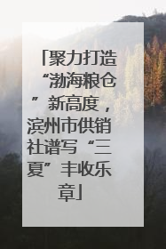 聚力打造“渤海粮仓”新高度，滨州市供销社谱写“三夏”丰收乐章