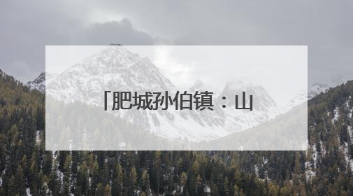肥城孙伯镇：山村油杏满枝头