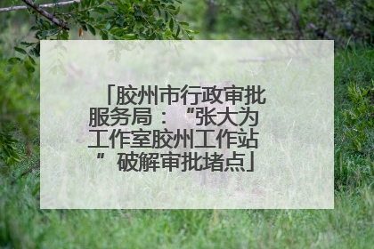 胶州市行政审批服务局：“张大为工作室胶州工作站”破解审批堵点