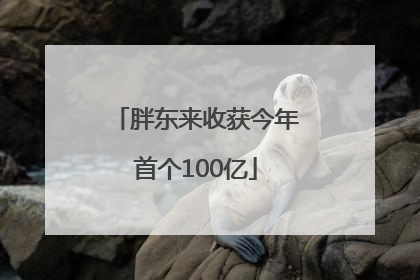 胖东来收获今年首个100亿