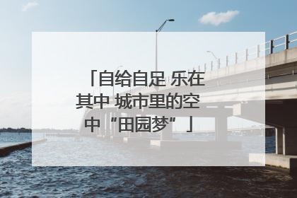 自给自足 乐在其中 城市里的空中“田园梦”