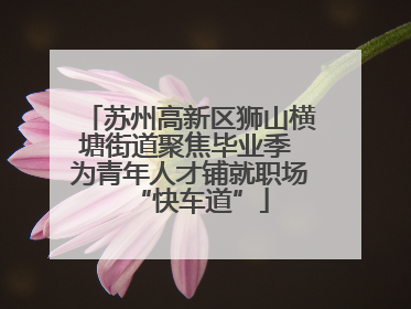 苏州高新区狮山横塘街道聚焦毕业季 为青年人才铺就职场“快车道”