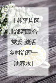 苏平片区北部湾联合党委 激活乡村治理一池春水