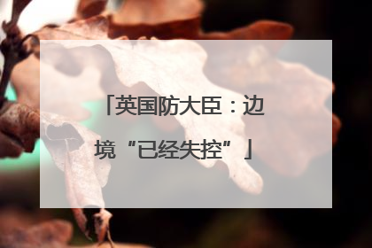 英国防大臣：边境“已经失控”