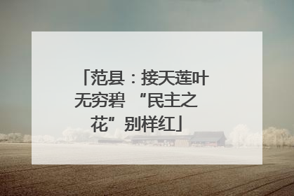 范县：接天莲叶无穷碧 “民主之花”别样红