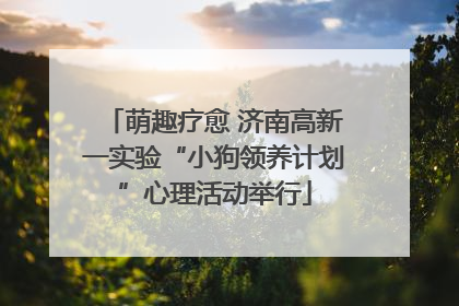 萌趣疗愈 济南高新一实验“小狗领养计划”心理活动举行