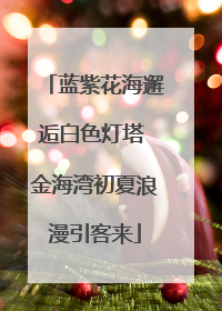蓝紫花海邂逅白色灯塔 金海湾初夏浪漫引客来