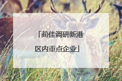 蔺佳调研新港区内重点企业