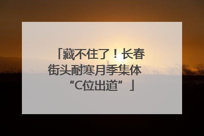 藏不住了！长春街头耐寒月季集体“C位出道”