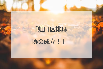 虹口区排球协会成立！