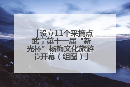 设立11个采摘点 武宁第十一届“新光杯”杨梅文化旅游节开幕（组图）