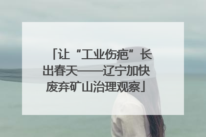 让“工业伤疤”长出春天——辽宁加快废弃矿山治理观察