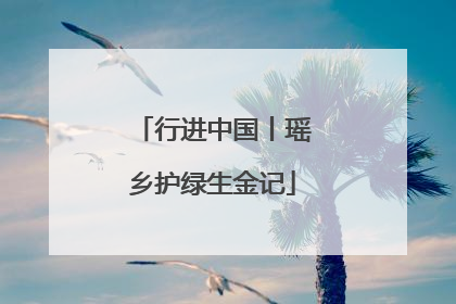 行进中国丨瑶乡护绿生金记