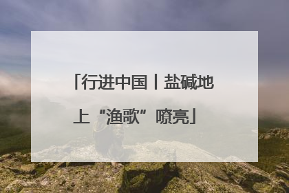 行进中国丨盐碱地上“渔歌”嘹亮