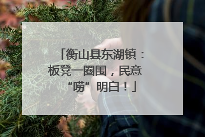 衡山县东湖镇：板凳一圈围，民意“唠”明白！